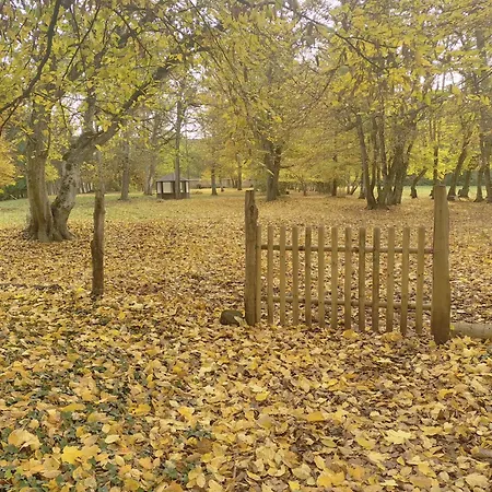 La Passagere Hauterive (Allier)