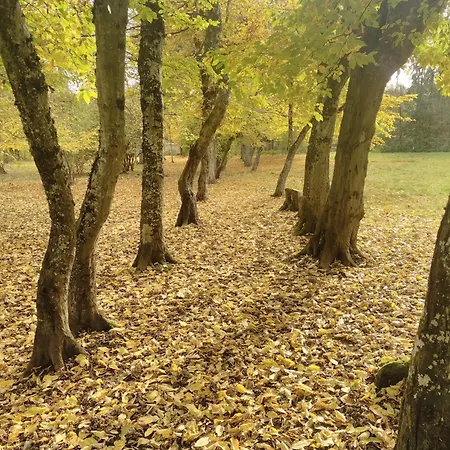 La Passagere Oda ve Kahvaltı