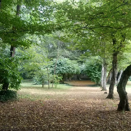 La Passagere 3* Hauterive (Allier)