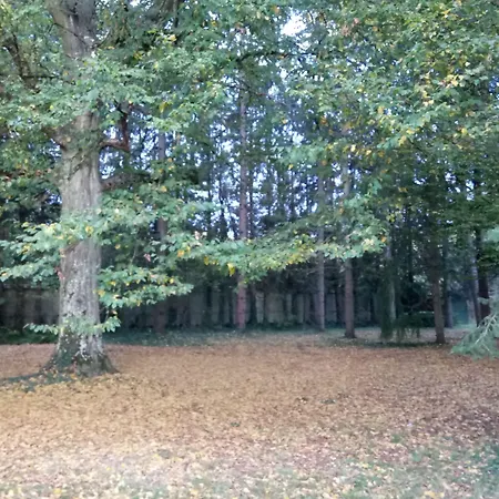 La Passagere Bed & Breakfast 3*