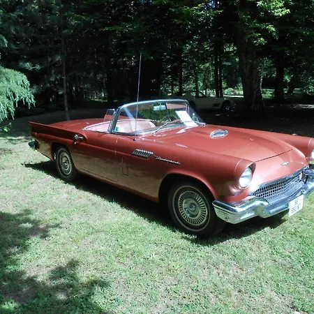 Oda ve Kahvaltı La Passagere