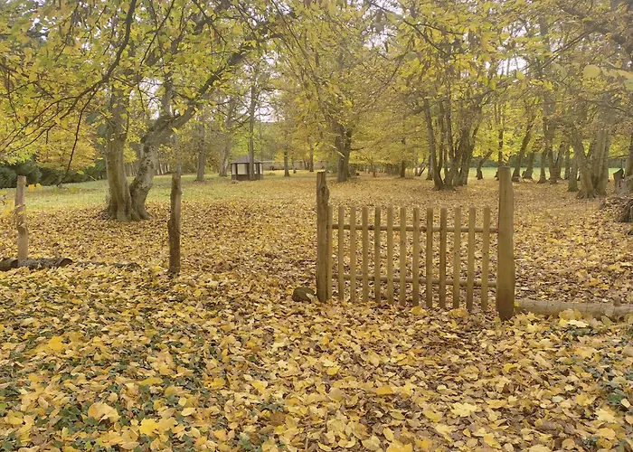 La Passagere Hauterive (Allier)